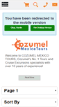 Mobile Screenshot of cozumelmexicotours.com
