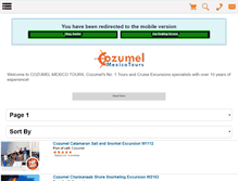 Tablet Screenshot of cozumelmexicotours.com